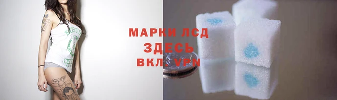 гидропоника Аркадак