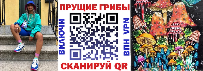 Псилоцибиновые грибы Psilocybine cubensis  Новый Оскол 